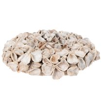 Article Couronne décorative séchée en lotus naturel 35 cm blanche pour intérieur