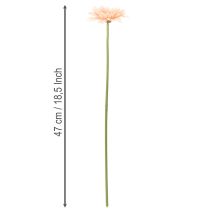 Article Fleurs artificielles Gerbera abricot 47 cm - Lot de 6