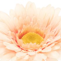 Article Fleurs artificielles Gerbera abricot 47 cm - Lot de 6