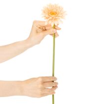 Article Fleurs artificielles Gerbera abricot 47 cm - Lot de 6