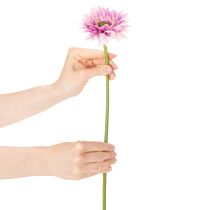Article Fleurs artificielles Gerbera violet 47 cm - Lot de 6
