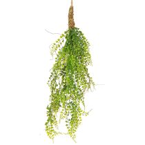 Article Plante artificielle de pois en jute à suspendre verte H80cm