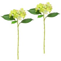 Article Hortensias Artificiels Fleurs Vertes Feuilles L43cm 2pcs