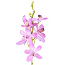 Article Orchidées artificielles 8 fleurs violettes Ø3,5cm–5cm 2pcs
