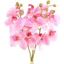 Article Orchidées artificielles roses, fleurs artificielles comme de vraies 56 cm, 3 pièces