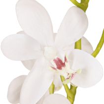 Article Orchidées artificielles fleur blanche Ø3,5–5 cm L38 cm 2 pièces