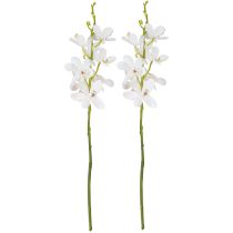 Article Orchidées artificielles à fleurs blanches Ø 3,5–5 cm L 38 cm 2 pièces