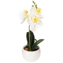 Article Orchidées artificielles en pot mini orchidées blanches Ø7cm H22cm