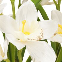Article Orchidées artificielles en pot avec fleurs blanches H80cm