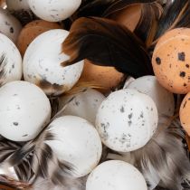 Article Œufs de caille artificiels, plumes décoratives sur bâtonnet, 36 cm, lot de 12