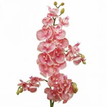 Orchidées artificielles déco fleur artificielle orchidée rose 71cm