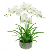 Orchidées artificielles fleurs artificielles en pot blanc 60cm