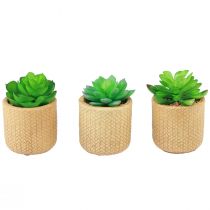 Article Plantes succulentes artificielles en pot Plantes artificielles assorties 10 cm 3 pièces
