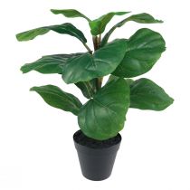 Article Plante artificielle en pot Ficus plante artificielle en pot 42cm