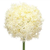 Article Oignon Ornemental Allium Artificiel Blanc Crème Ø18cm L90cm