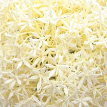 Article Oignon Ornemental Allium Artificiel Blanc Crème Ø18cm L90cm
