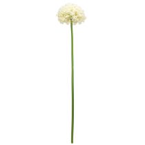 Article Oignon Ornemental Allium Artificiel Blanc Crème Ø18cm L90cm