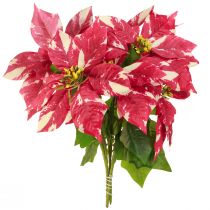 Article Etoile de Noël artificielle rouge crème L35cm 6pcs 2 bouquet