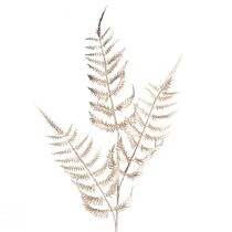 Article Fougère décorative artificielle champagne métallisé L85cm 2pcs