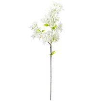 Article Branche de lilas artificielle Fleurs blanches L95cm
