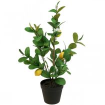 Article Citronnier artificiel en pot Citronnier H65cm