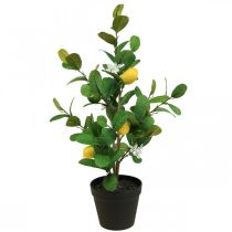 Article Citronnier artificiel en pot, 65 cm, plante décorative, plante artificielle