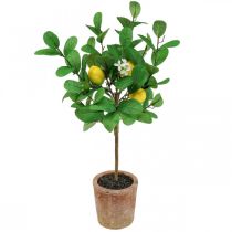 Article Citronnier artificiel, pot de 58 cm, arbre décoratif, style méditerranéen
