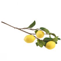 Article Branche de citronnier artificielle décorative, branche avec 3 citrons jaunes, 65 cm, plante artificielle, accessoire décoratif