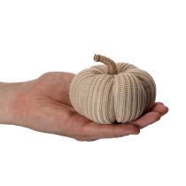 Article Citrouilles décoratives en textile tricoté 10 cm 6 pièces couleurs automnales