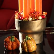 Article Set de 2 citrouilles décoratives en céramique 6 cm pour décoration d'automne