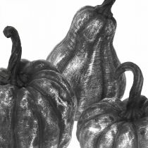 Citrouille décorative argent, noir assorti H10,5 / 14,5 / 17,5cm 3pcs
