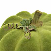 Article Potiron déco floqué vert mousse 32cm