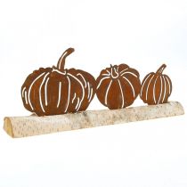 Décoration métal citrouilles rouille et écorce sur bois de bouleau 20×5cm H9cm