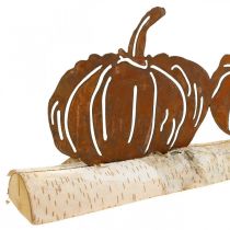 Décoration métal citrouilles rouille et écorce sur bois de bouleau 20×5cm H9cm