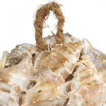 Article Boule décorative coquillages d'escargots décoration coquillages à suspendre naturel Ø12cm