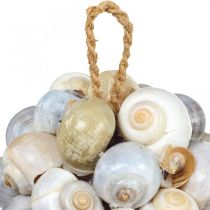 Boule de décoration maritime boule d&#39;escargot de mer décoration naturelle Ø12cm