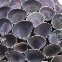 Article Boule coquillage Décoration maritime avec coquillages Boule déco violette Ø12cm