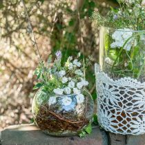Vase boule vase à fleurs en verre décoration ronde en verre H11cm Ø15cm