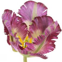 Article Fleur artificielle perroquet tulipe artificielle décorative tulipe violet 63cm
