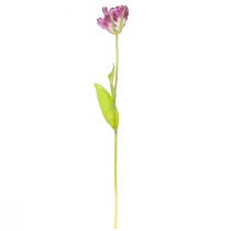 Article Fleur artificielle perroquet tulipe artificielle décorative tulipe violet 63cm