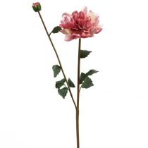 Fleur artificielle dahlia fleur rose avec bouton H57cm
