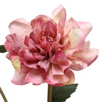 Fleur artificielle dahlia fleur rose avec bouton H57cm