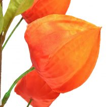 Article Fleur artificielle orange lanterne fleur Physalis fleurs décoratives en soie 93cm 2 pcs