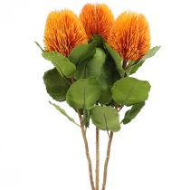 Fleurs artificielles, Banksia, Proteaceae Orange L58cm H6cm 3pcs
