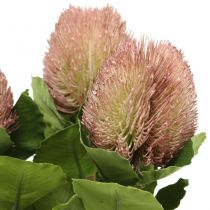 Fleurs Artificielles, Banksia, Proteaceae Blanc-Violet L58cm H6cm