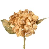 Article Hortensia artificiel séché Drylook décoration automne L33cm