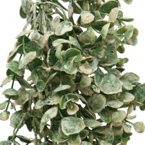 Guirlande de buis artificiel vert blanc lavé L148cm