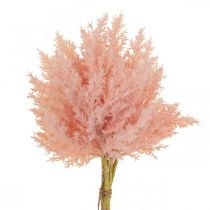Article Plante Artificielle Astilbe Décoration Branches Artificielles Rose H38cm 5 Pcs