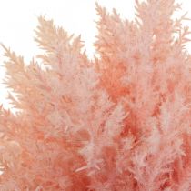 Article Plante Artificielle Astilbe Décoration Branches Artificielles Rose H38cm 5 Pcs