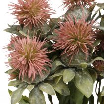 Plantes artificielles carthame chardon branche chardon rose 4pcs